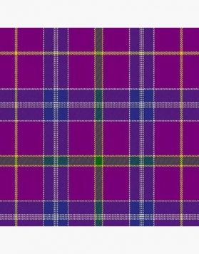 Mens Jackson Tartan Kilt 